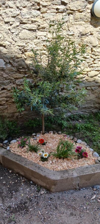 Le 9 De Cour, Caouette Bed & Breakfast Carcassonne